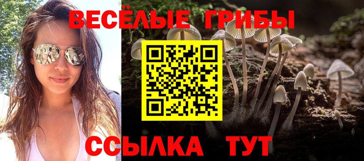 Псилоцибиновые грибы ЛСД Свободный