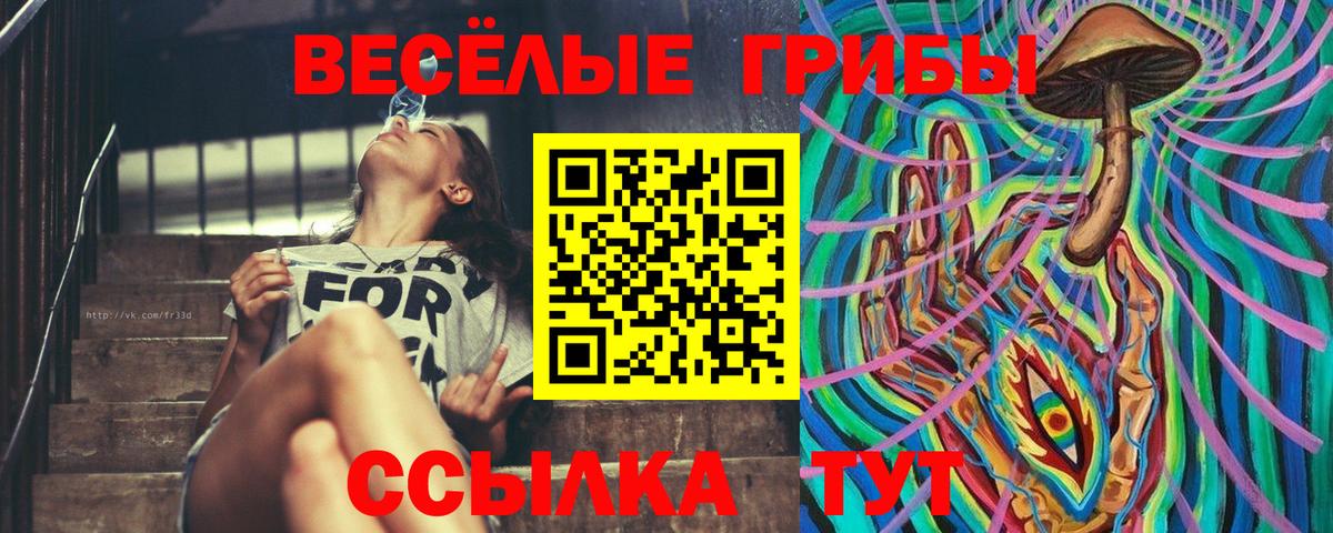 купить закладку  Галлюциногенные грибы Cubensis  Вход с VPN  Свободный 